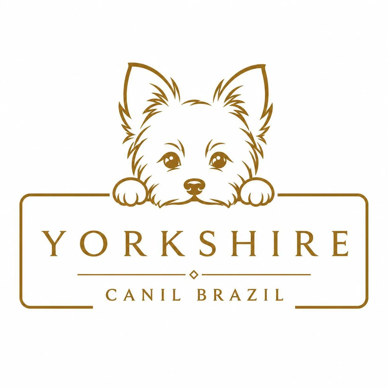 Yorkshire Canil Brazil